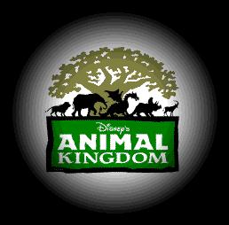 Animal Kingdom Rumors